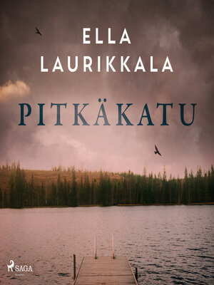 cover image of Pitkäkatu